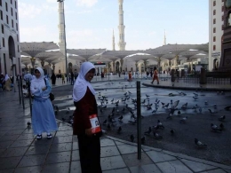 Sekawanan burung Dara di sekitar masjid Nabawi/Dokpri