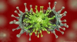 Mengapa Virus India Bernama Delta? Akankah Endemi Tidak Pernah Ada? (dw.com)