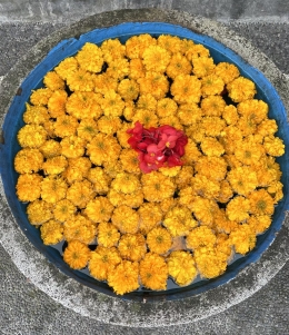 Bunga Gemitir untuk persembahan di Candi Kuning, Tabanan (Sumber: Koleksi Pribadi) 
