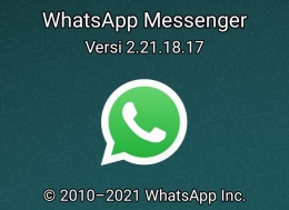 Tampilan WhatsApp Messenger (Doc WhatsApp/Istimewa)