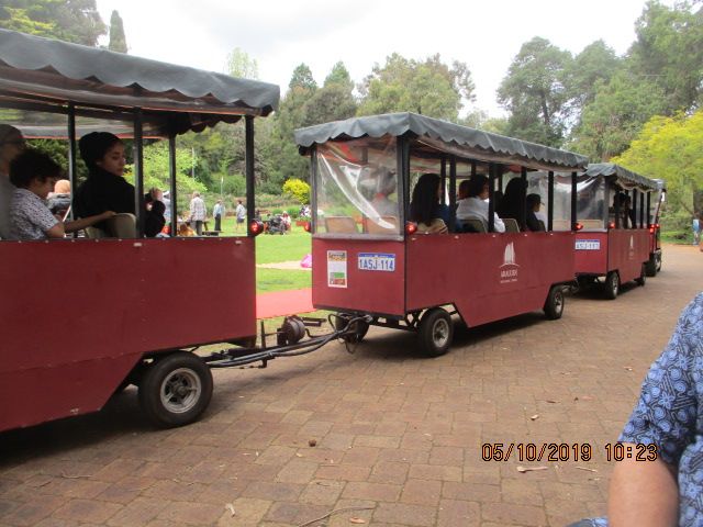 Mini trem mengelilingi taman (dok pribadi)