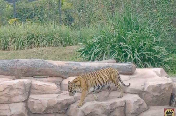 Dok. Youtube PEJUANG IMPIAN