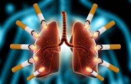 Bahaya merokok bagi paru-paru | Sumber: istockphoto