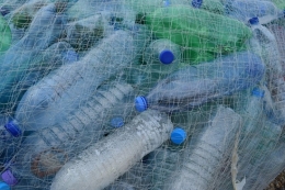 Ilustrasi sampah plastik yang bisa dimanfaatkan sebagai wadah tanaman hidroponik.| Sumber: PIXABAY/MatthewGollop via Kompas.com