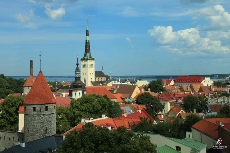 Panorama kota Tallinn dari atas tembok kota. Sumber: dokumentasi pribadi