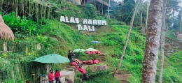 Wahana Ayunan Yang Populer Di Alas Harum Bali. Dokumentasi Pribadi