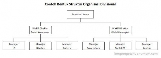 Contoh struktur organisasi divisi (Sumber Ilmu Pengetahuan Umum.com)