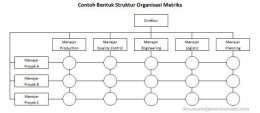 Contoh struktur organisasi matriks (Sumber Ilmu Pengetahuan Umum.com)