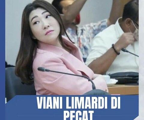 Mantan Anggota DPRD DKI Jakarta dari Fraksi PSI (Instagram.com/mediadigitalccp)