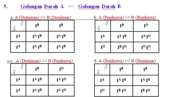 Golongan Darah Berbeda Dengan Orang Tua? Eits, Tenang Dulu, Begini ...