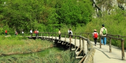Jembatan kayu menuju Dermaga Kozjak. Sumber: dokumentasi pribadi