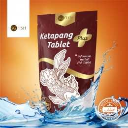 Dok. Ketapang Tablet