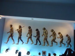 Replika cara berjalan manusia dari masa ke masa di Museum Sangiran (sumber: travelingyuk.com)