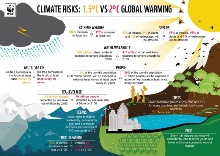 Infografis perubahan iklim. Sumber : WWF. 