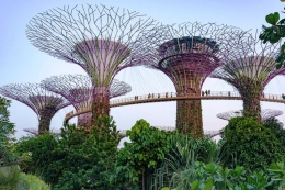 Gardens by the Bay Singapura,  terinspirasi konsep Solarpunk I Sumber: thegloriasirens.com/gardensbythebay