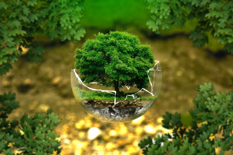 Ilustrasi pohon di dalam gelembung kaca (Foto: ejaugsburg Via Pixabay)