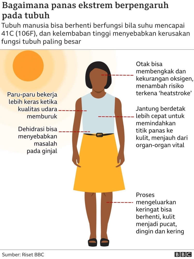Dampak bagi tubuh manusia. | Gambar diambil dari BBC News Indonesia