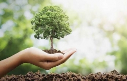 Menanam pohon, adalah aksi nyata mendukung tercapainya Net Zero emission | ilustrasi : beritasatu.com