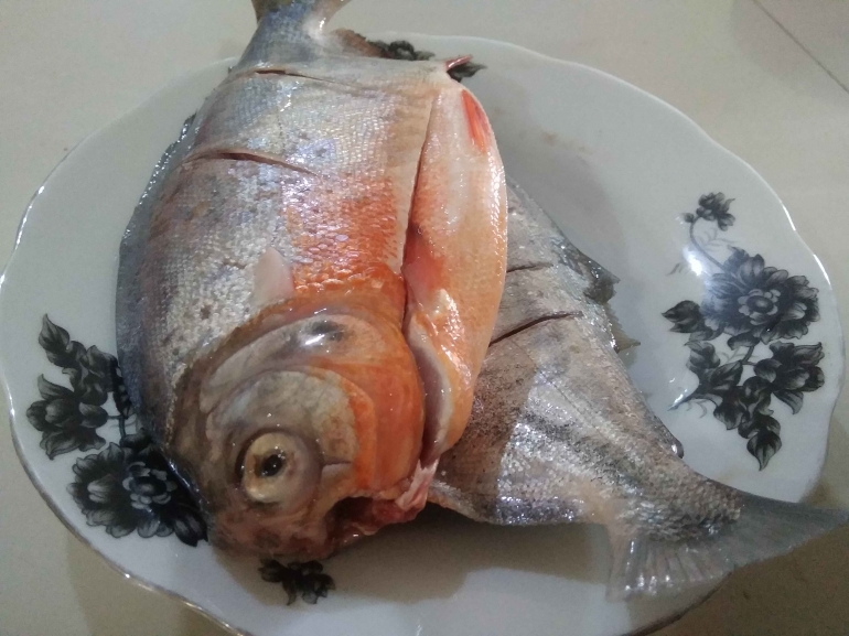 Ikan bawal hasil pancingan di kolam, 1 ekor mencapai 400 gram. (Foto : Elvidayanty Darkasih)