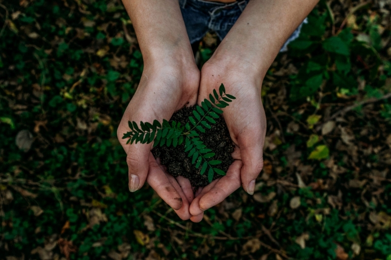 Peduli bumi/Unsplash.com