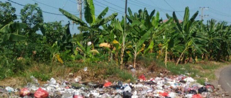 Gambar: buang sampah sembarang  dalam lingkungan hidup/Dokpri