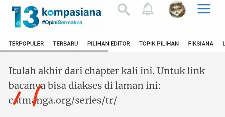 Paragraf terakhir salah satu artikel yang mengarahkan - dok. tangkaplayar pribadi