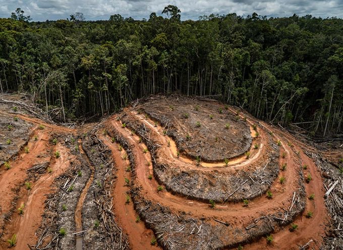 Sumber Foto: https://madaniberkelanjutan.id/2020/07/21/menghentikan-deforestasi-dengan-mencegah-karhutala-melalui-pembenahan-sistem-insentif