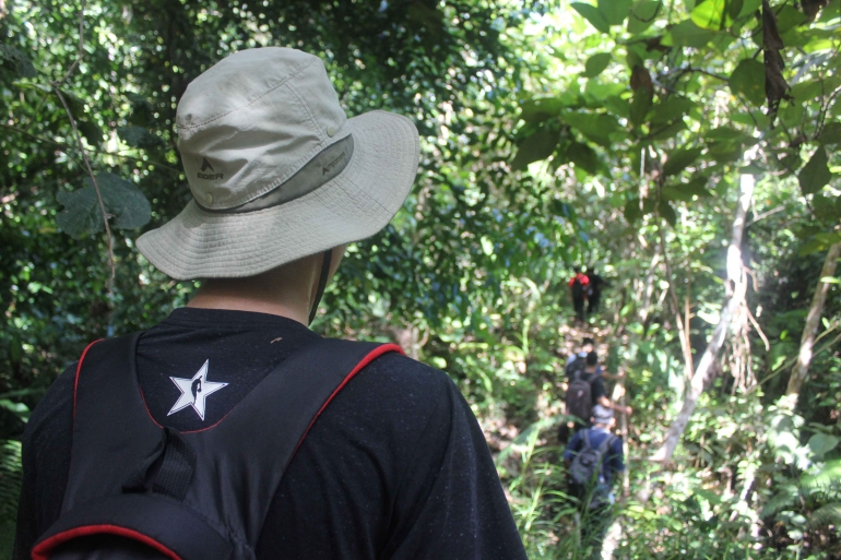 Hutan Lindung kalimantan Barat (Dok. pribadi )