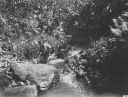 Masyarakat adat Mongondow (Modayag) sedang memanfaatkan Sumber daya alam Tahun 1917. Sumber: www.omnia.ie 