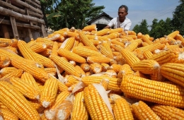 Gambar: AG Food Commodities