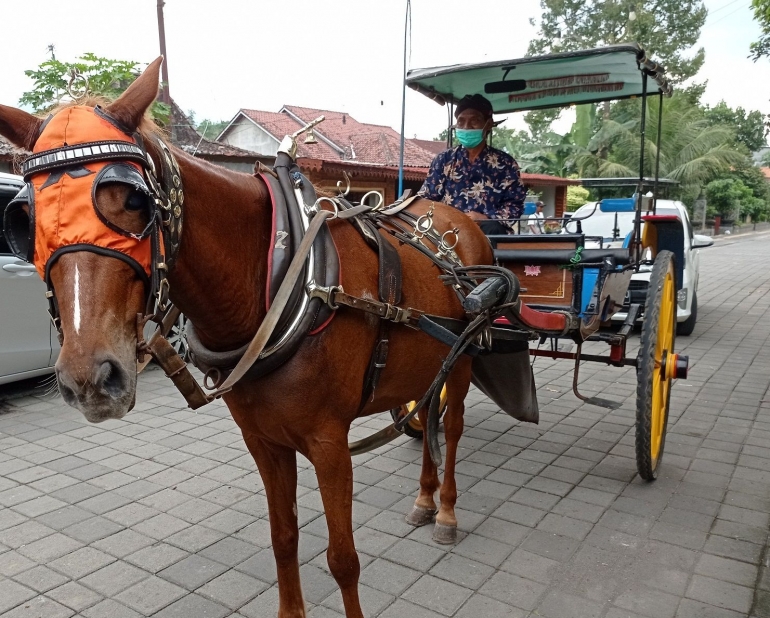 Ilustrasi Kereta kuda/Delman di kampung (Dok.Pri)