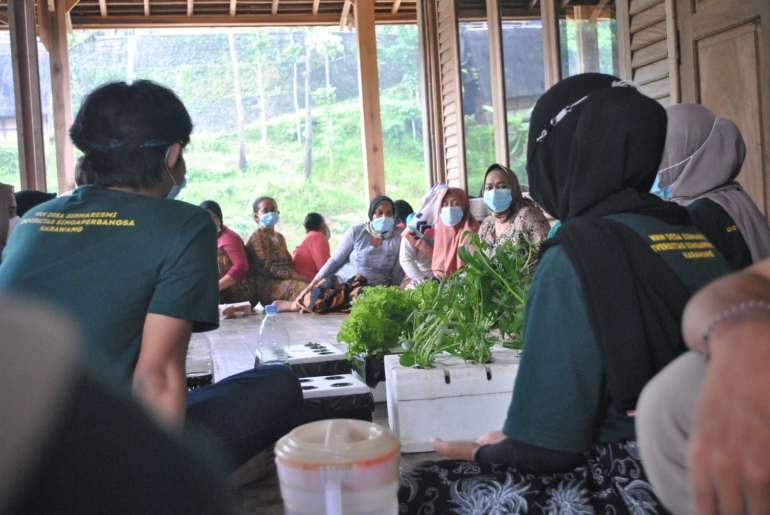 Program Kerja Pupuk Kompos dan Hidroponik/Dokpri