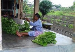 Source: infopublik.id. Dukung petani lokal. 