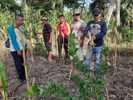 Anggota Keltan Wartani yang rutin tiap pekan ke ladang mengajak milenial ikut bersama. (foto dok syamsul)