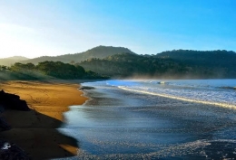 Pantai Bandealit yang dikelilingi hutan meru Betiri sungguh sangat mempesona | ilustrasi : bacpackerjakarta.com