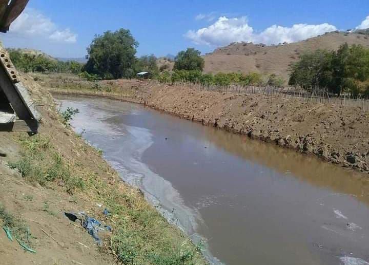 Lahan sawah baru di Waekokak, Kec. Aesesa, Nagekeo, NTT. Foto: Roman Rendusara