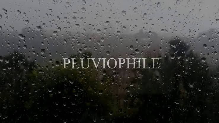 Ilustrasi pluviophile | sumber: depokpos.com