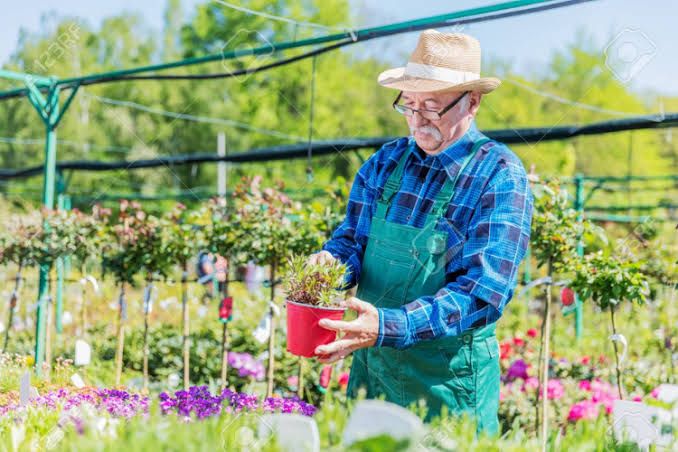 Seorang Bapak Tua Yang Tengah Berkebun | Sumber Popbela.com