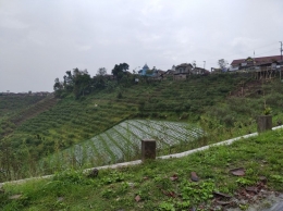 Sekitar Desa Taji. Foto dokumen pribadi