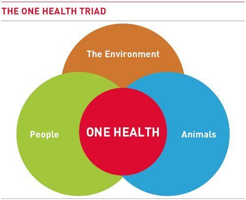 Peranan Pancasila Melawan Zoonosis Melalui Pendekatan Konsep One Health ...