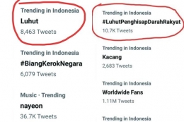 Menko Luhut jadi trending di Twitter dua kali. Sumber foto: isubogor.pikiran-rakyat.com