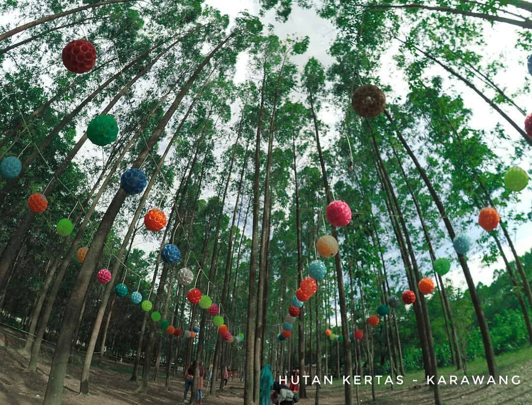 Destinasi Instagramable Di Karawang Wisata Hutan Kertas Halaman 1 ...