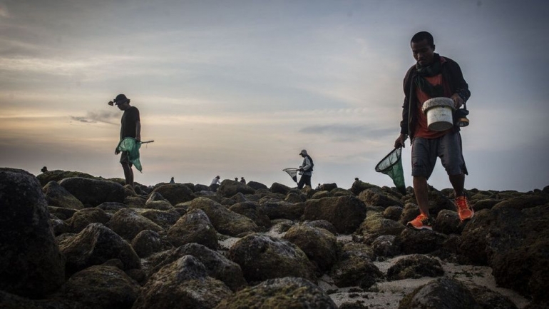 Upacara bau nyale di pantai Seger (dok antarafoto.com)