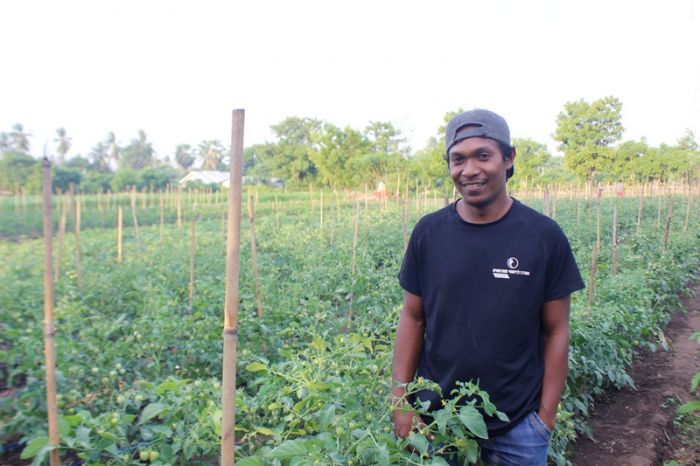 Yance Maring, petani milenial Kabupaten Sikka, NTT, menggunakan teknologi canggih untuk pengairan lahan pertaniannya. Foto: MI/Gabriel Langga 