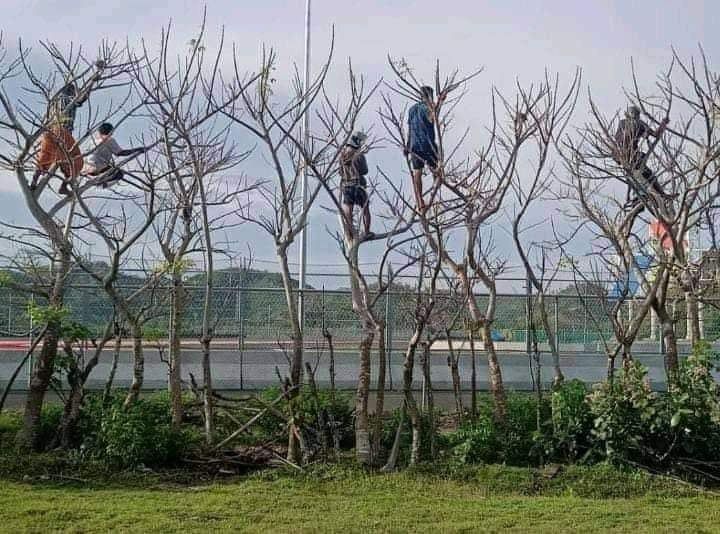 Aksi panjat pohon di Mandalika (Instagram/@mgpindonesia) 