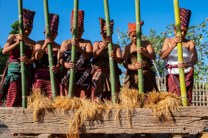 Tradisi menumbuk padi di Desa Adat Bayan (dok:pribadi)