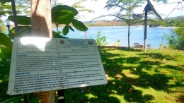 Katalog 'identitas' pohon di TWA Tunak. Bisa menjadi penanda nama wisatawan yang membeli Paket Wisata Menanam Pohon. Dokpri