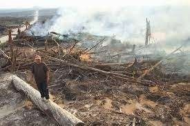 Gambar 1. Pembukaan Lahan Perkebunan Kelapa Sawit