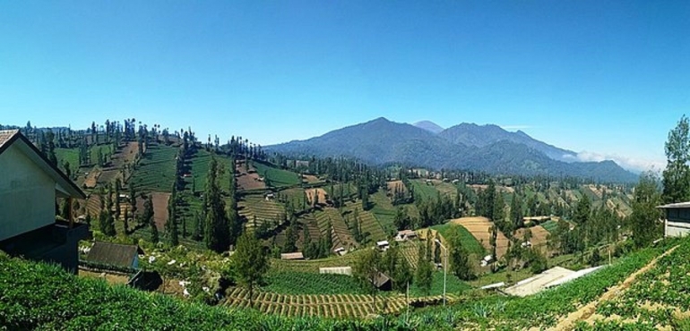 Panorama di Taman Nasional Bromo Tengger Semeru. Dok. Dias Fannah, Wikimedia Commons