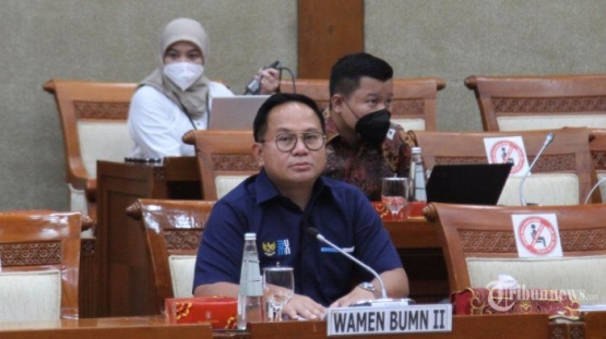 Wamen BUMN | Sumber : tribunnews.com